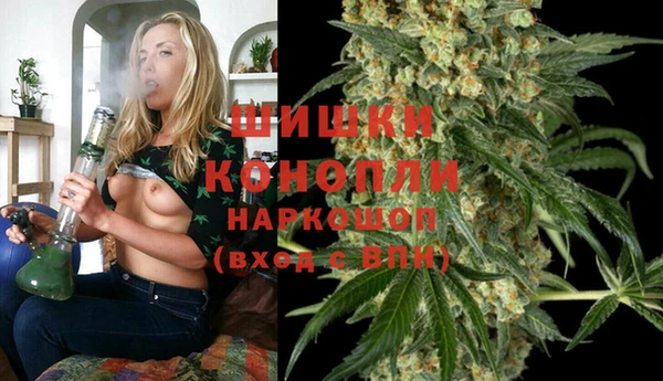 мдпв Бородино