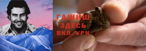мдпв Бородино