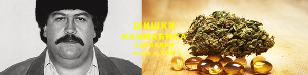 ГАЛЛЮЦИНОГЕННЫЕ ГРИБЫ Верхний Тагил