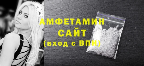 мдпв Бородино