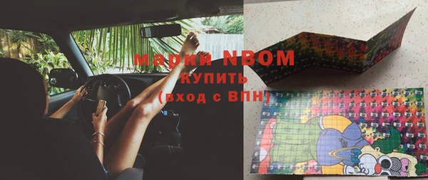мдпв Бородино