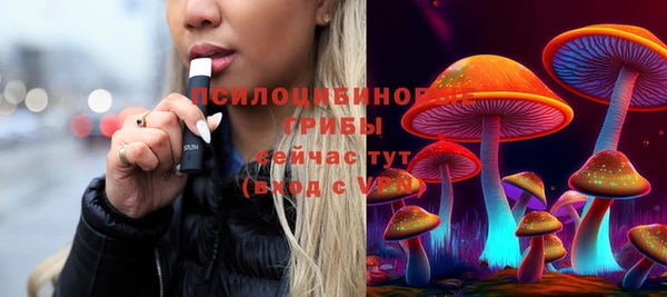 ГАЛЛЮЦИНОГЕННЫЕ ГРИБЫ Верхний Тагил