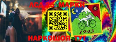 прущие крисы Бийск