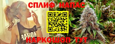 прущие грибы Беслан
