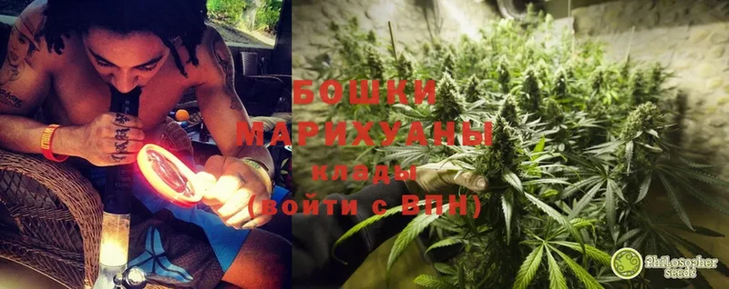 Каннабис Ganja  Видное 